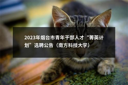 2023年烟台市青年干部人才“菁英计划”选聘公告（南方科技大学） 图片