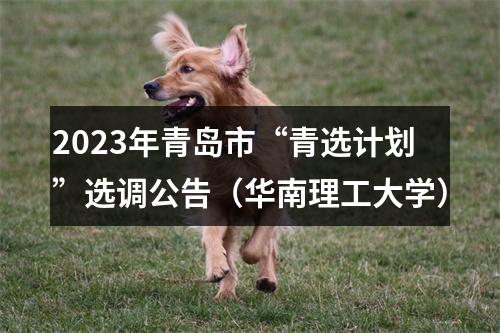 2023年青岛市“青选计划”选调公告（华南理工大学） 图片