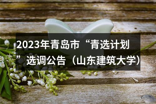 2023年青岛市“青选计划”选调公告（山东建筑大学） 图片