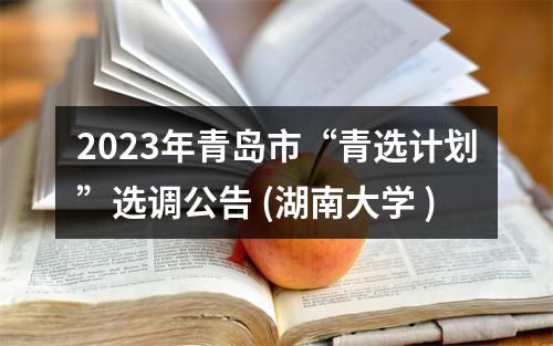 2023年青岛市“青选计划”选调公告 (湖南大学 ) 图片