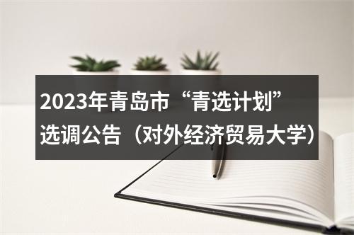 2023年青岛市“青选计划”选调公告（对外经济贸易大学） 图片