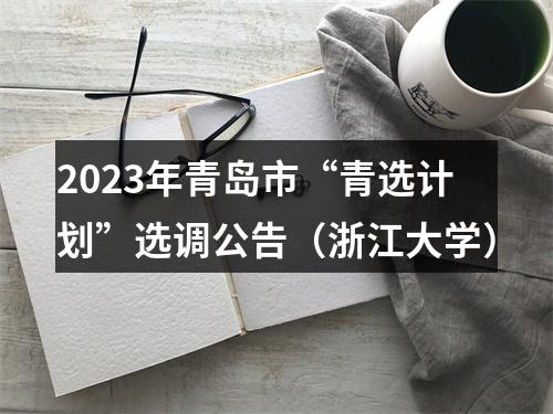 2023年青岛市“青选计划”选调公告（浙江大学） 图片