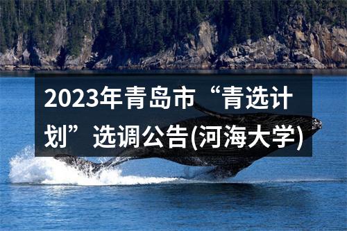 2023年青岛市“青选计划”选调公告(河海大学) 图片