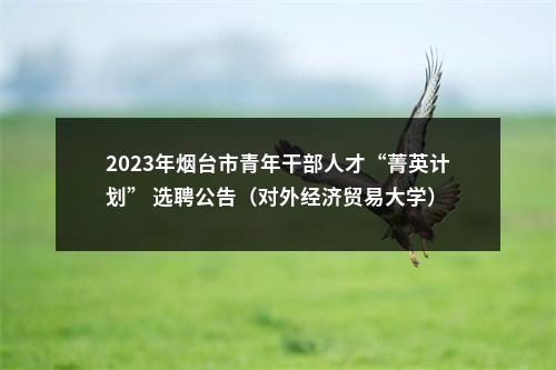 2023年烟台市青年干部人才“菁英计划” 选聘公告（对外经济贸易大学） 图片