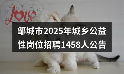 邹城市2025年城乡公益性岗位招聘1458人公告 图片